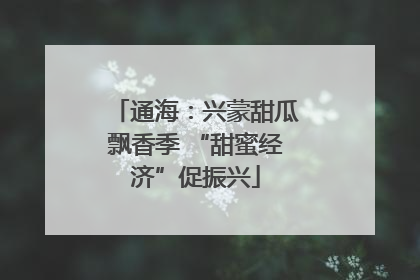 通海：兴蒙甜瓜飘香季 “甜蜜经济”促振兴