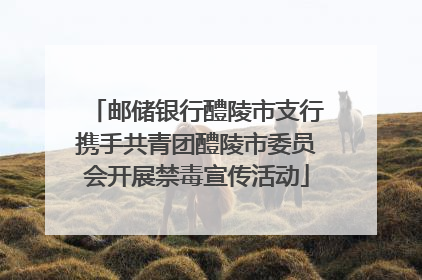 邮储银行醴陵市支行携手共青团醴陵市委员会开展禁毒宣传活动