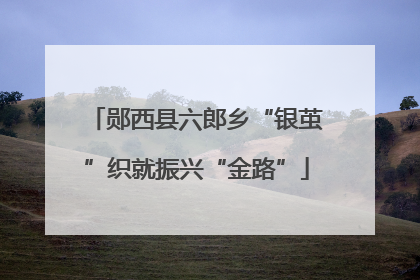 郧西县六郎乡“银茧”织就振兴“金路”