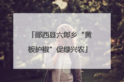 郧西县六郎乡“黄板护椒”促绿兴农