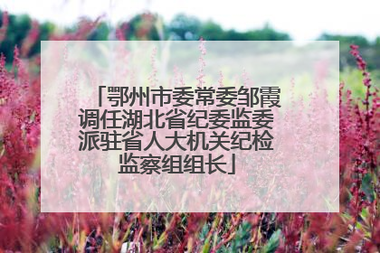 鄂州市委常委邹霞调任湖北省纪委监委派驻省人大机关纪检监察组组长