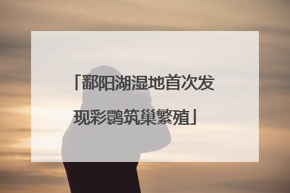 鄱阳湖湿地首次发现彩鹮筑巢繁殖