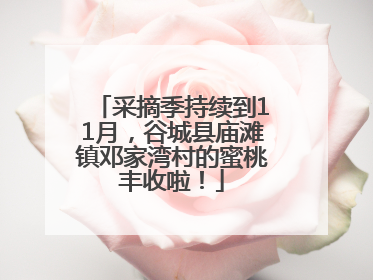 采摘季持续到11月，谷城县庙滩镇邓家湾村的蜜桃丰收啦！