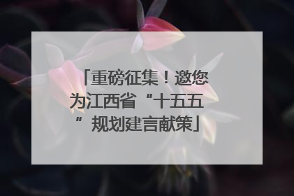 重磅征集！邀您为江西省“十五五”规划建言献策