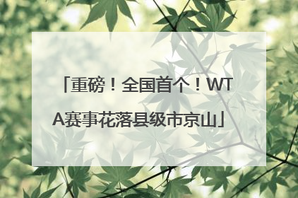 重磅！全国首个！WTA赛事花落县级市京山
