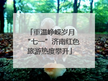 重温峥嵘岁月 “七一”济南红色旅游热度攀升