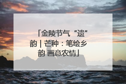 金陵节气“遗”韵｜芒种：笔绘乡韵 画意农情