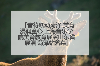 音符跃动菏泽 美育浸润童心 上海音乐学院美育教育展演山东省展演·菏泽站落幕