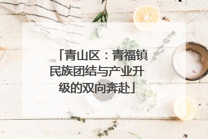 青山区：青福镇民族团结与产业升级的双向奔赴