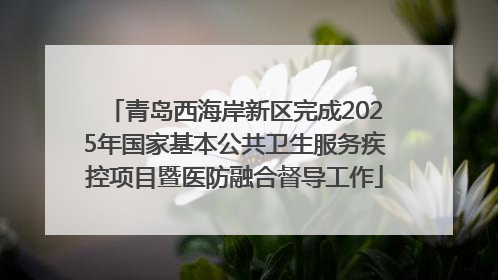 青岛西海岸新区完成2025年国家基本公共卫生服务疾控项目暨医防融合督导工作