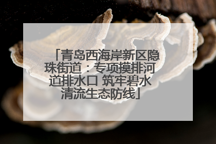青岛西海岸新区隐珠街道：专项摸排河道排水口 筑牢碧水清流生态防线