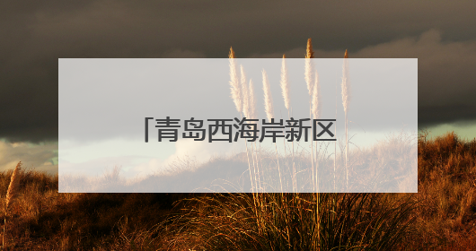 青岛西海岸新区：以爱为笔，绘就社区温暖新篇章