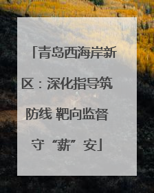 青岛西海岸新区：深化指导筑防线 靶向监督守“薪”安