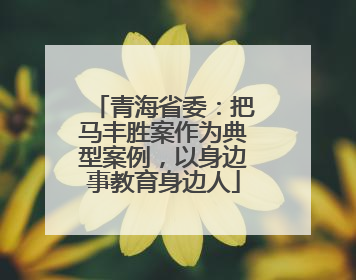 青海省委：把马丰胜案作为典型案例，以身边事教育身边人