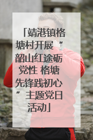 靖港镇格塘村开展“韶山红途砺党性 格塘先锋践初心”主题党日活动
