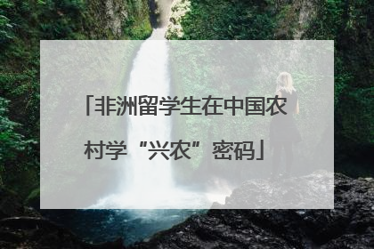 非洲留学生在中国农村学“兴农”密码