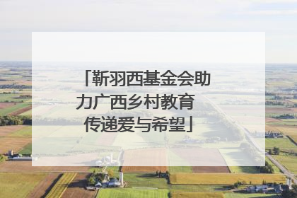 靳羽西基金会助力广西乡村教育 传递爱与希望