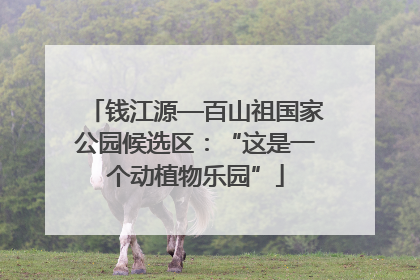 钱江源—百山祖国家公园候选区：“这是一个动植物乐园”
