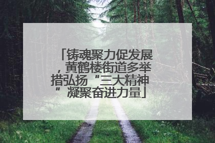 铸魂聚力促发展，黄鹤楼街道多举措弘扬“三大精神”凝聚奋进力量