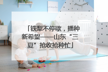 铁犁不停歇，播种新希望——山东“三夏”抢收抢种忙