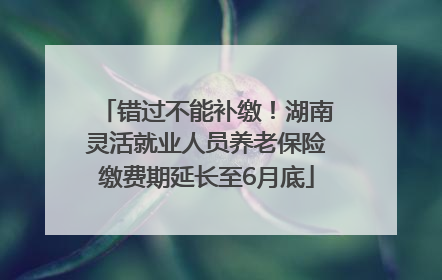 错过不能补缴！湖南灵活就业人员养老保险缴费期延长至6月底