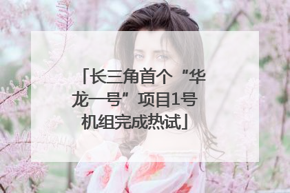 长三角首个“华龙一号”项目1号机组完成热试