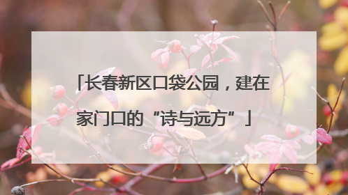 长春新区口袋公园，建在家门口的“诗与远方”