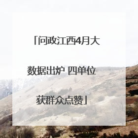 问政江西4月大数据出炉 四单位获群众点赞