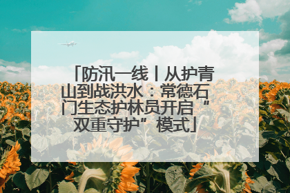 防汛一线丨从护青山到战洪水：常德石门生态护林员开启“双重守护”模式