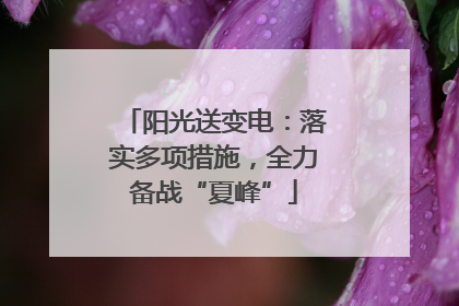 阳光送变电：落实多项措施，全力备战“夏峰”