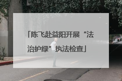 陈飞赴益阳开展“法治护绿”执法检查
