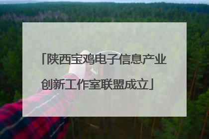 陕西宝鸡电子信息产业创新工作室联盟成立