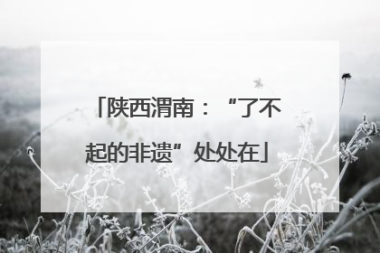 陕西渭南：“了不起的非遗”处处在