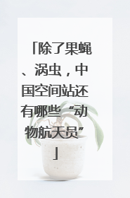 除了果蝇、涡虫，中国空间站还有哪些“动物航天员”