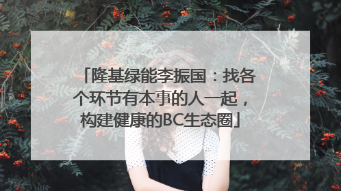 隆基绿能李振国：找各个环节有本事的人一起，构建健康的BC生态圈