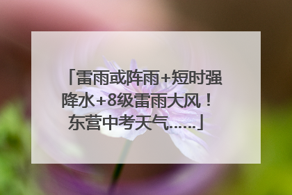 雷雨或阵雨+短时强降水+8级雷雨大风！东营中考天气……