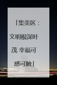 集美区：文明根深叶茂 幸福可感可触