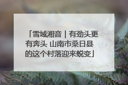 雪域湘音｜有劲头更有奔头 山南市桑日县的这个村落迎来蜕变