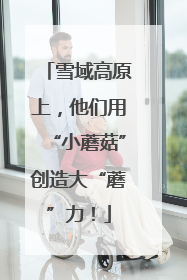 雪域高原上，他们用“小蘑菇”创造大“蘑”力！