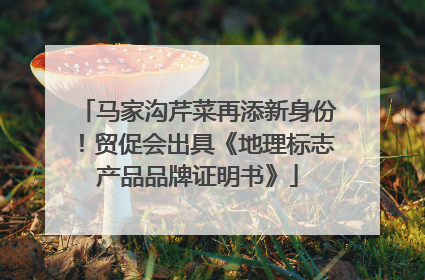 马家沟芹菜再添新身份！贸促会出具《地理标志产品品牌证明书》