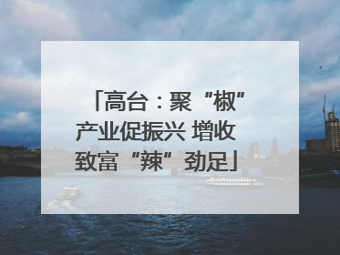 高台：聚“椒”产业促振兴 增收致富“辣”劲足