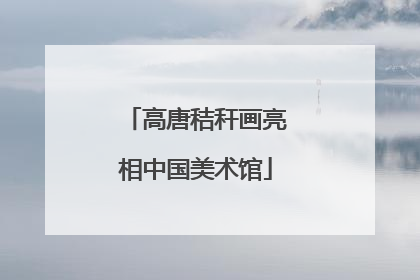 高唐秸秆画亮相中国美术馆