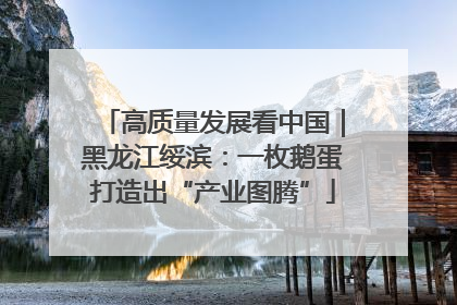 高质量发展看中国｜黑龙江绥滨：一枚鹅蛋打造出“产业图腾”
