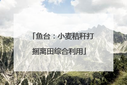 鱼台：小麦秸秆打捆离田综合利用