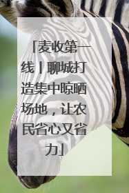 麦收第一线丨聊城打造集中晾晒场地，让农民省心又省力