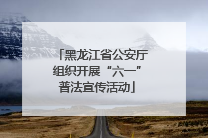 黑龙江省公安厅组织开展“六一”普法宣传活动