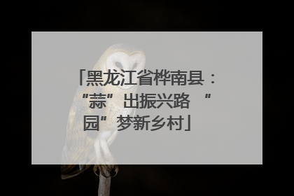 黑龙江省桦南县：“蒜”出振兴路 “园”梦新乡村