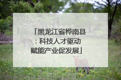 黑龙江省桦南县：科技人才驱动 赋能产业促发展