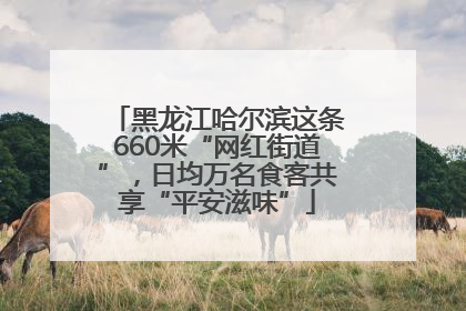 黑龙江哈尔滨这条660米“网红街道”，日均万名食客共享“平安滋味”
