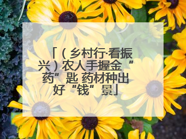 （乡村行·看振兴）农人手握金“药”匙 药材种出好“钱”景